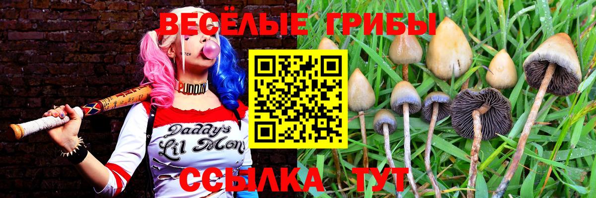 Псилоцибиновые грибы MAGIC MUSHROOMS Изобильный