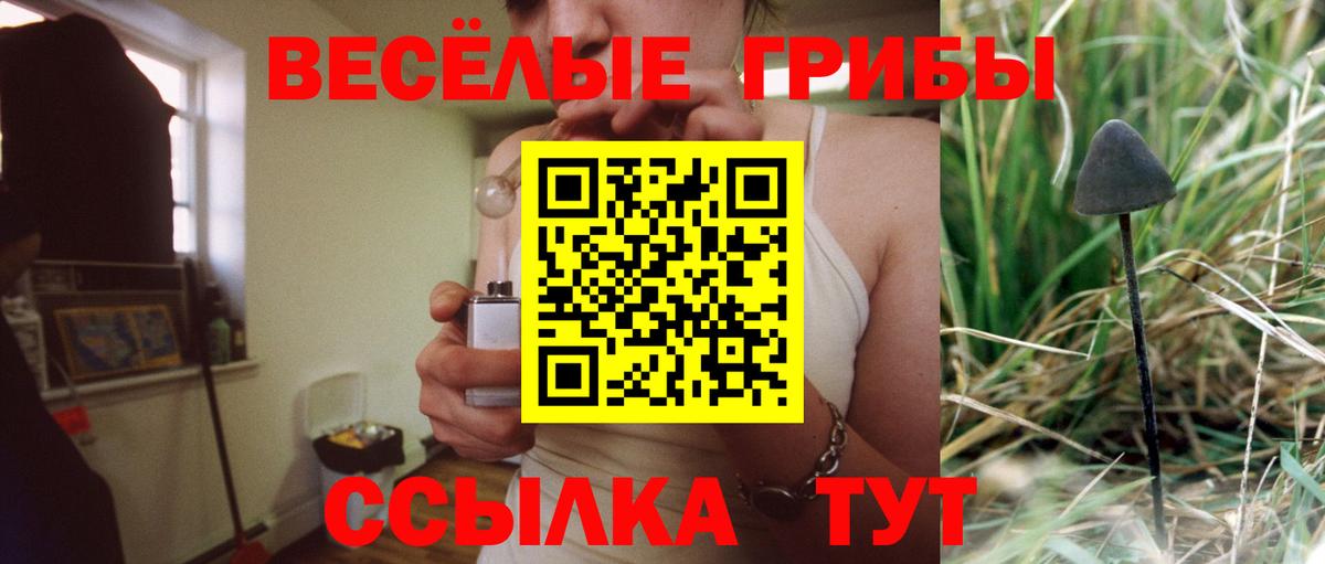 Изобильный  Псилоцибиновые грибы Psilocybe  закладки  Вход с VPN 